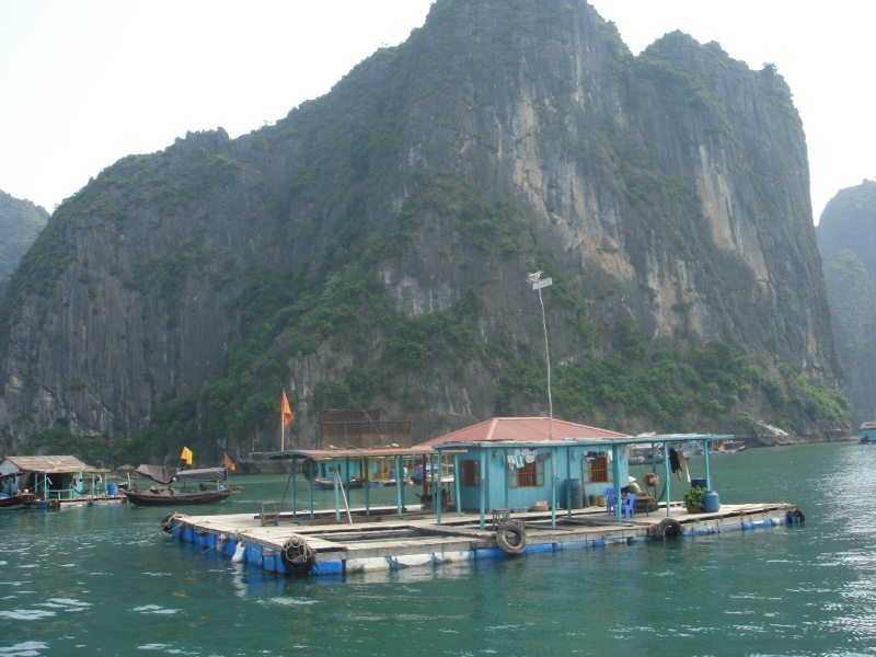 halong6.jpg halong6.jpg