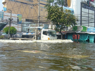 P1090990