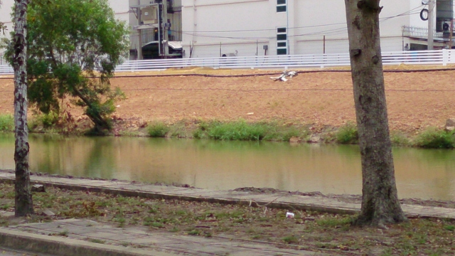 DSC 0083 640x360