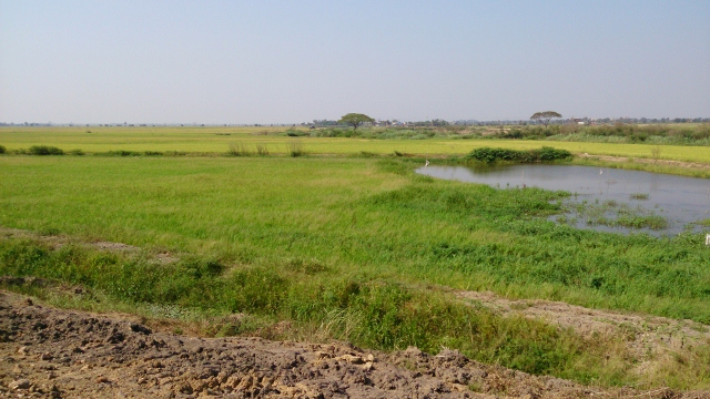 DSC 0106 640x360
