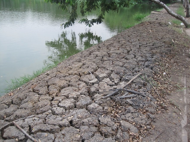 IMG 0077 640x480
